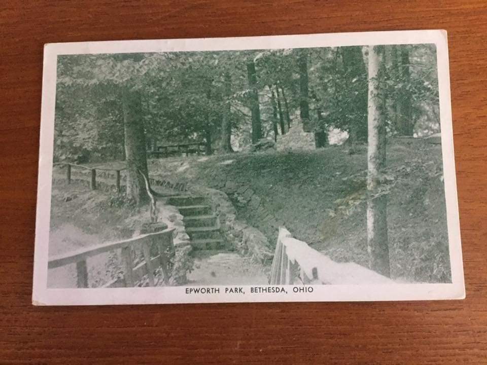 Postcard: Picnic Area